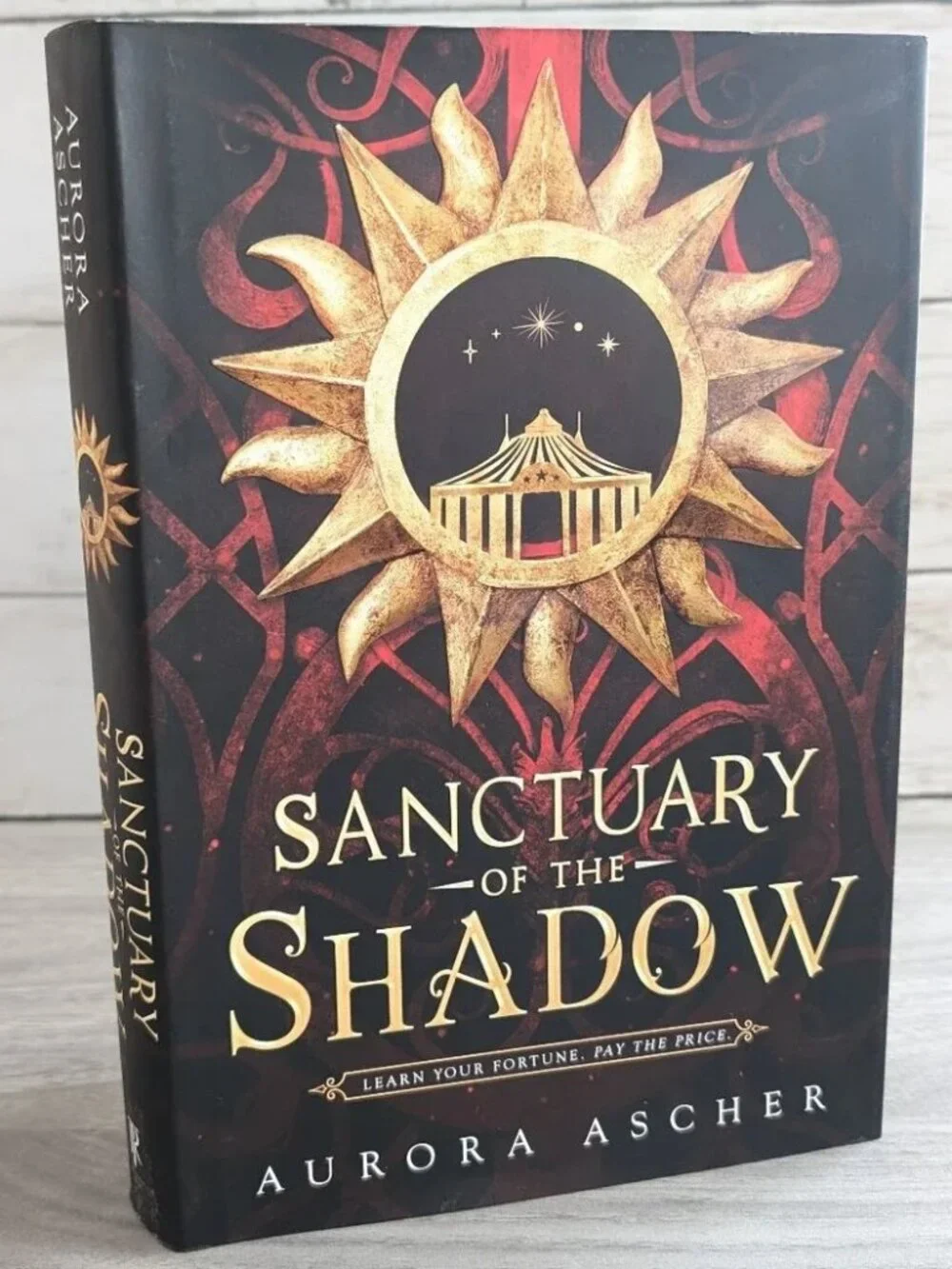 Sanctuary of the Shadow by Aurora Ascher